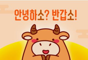 옵션 상품이닷 옵션 상품이닷옵션 상품